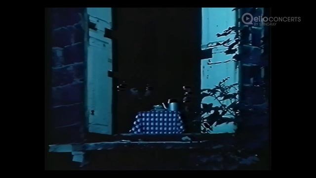 NAZARETH - The Fool Circle Tour, 1981