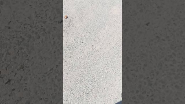 закупка сладостями и обзор на них 1 часть