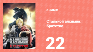 Стальной алхимик: Братство 22 серия «Спины уходящих» (аниме-сериал, 2009)