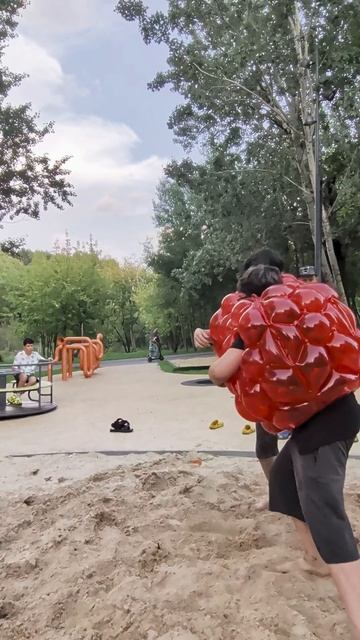 Сумо как развлечение! NewtonShow!