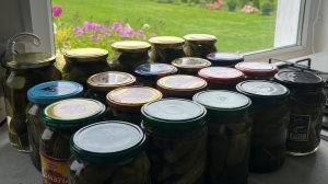 Дачные будни. Консервация огурцов на зиму