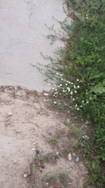 там круто