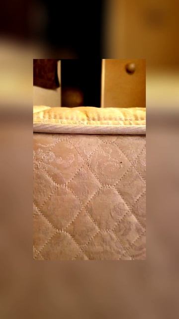 уничтожение клопов Москва +7(912) 243-00-02