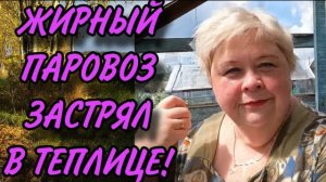 ЖИРНЫЙ ПАРОВОЗ ЗАСТРЯЛ В ТЕПЛИЦЕ! ОЛЬГА УРАЛОЧКА LIVE. ОБЗОР.