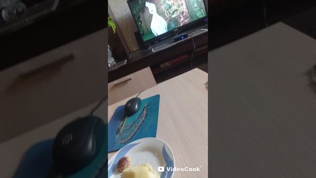 смотрю элементарно