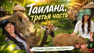 ТАИЛАНД 2026, 3 часть. Лучший зоопарк Паттаи, кафе с капибарами.