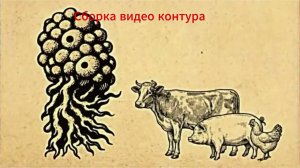 Сборка видео К.О.Н.Т.У.Р
