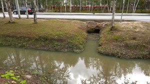 Погода «подкинула» работы для коммунальных служб Нижневартовска