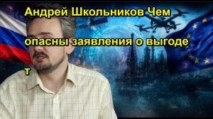 Андрей Школьников Чем опасны заявления о выгоде т