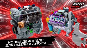 ГАЗель и Aurus породнятся двигателями с помощью НАМИ? 📺 Новости с колёс №3842