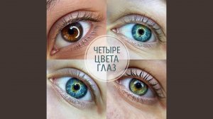 Четыре цвета глаз