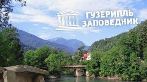 Гузерипль. Гуляем по лесу. Адыгея.