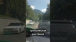 Ура ! Мы едем в отпуск... Адлер - Алахадзы.