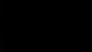 4s