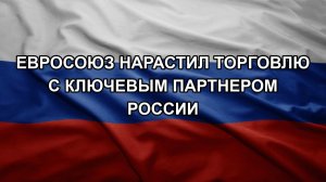 Евросоюз нарастил торговлю с ключевым партнером России