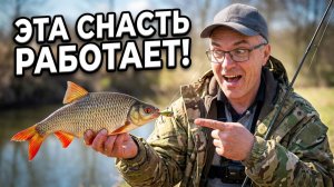 ДЕШЕВАЯ СНАСТЬ которая ЛОВИТ лучше других!