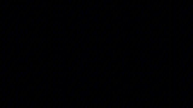 8898.mp4