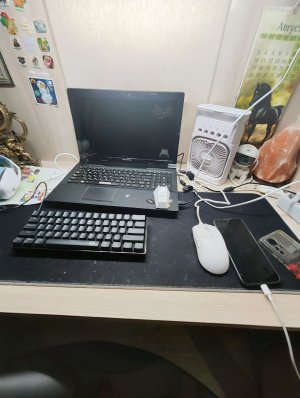 играю ФПС Флик