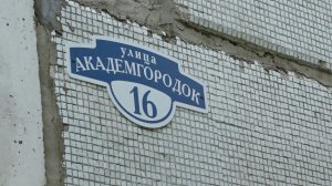 ЯДОВИТЫЕ ЗМЕИ ВЫПОЛЗАЮТ В ЖИЛЫЕ РАЙОНЫ КРАСНОЯРСКА