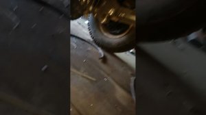 1000019485.mp4