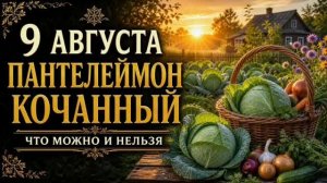 9 АВГУСТА — ПАНТЕЛЕЙМОН КОЧАННЫЙ | НАРОДНЫЕ ПРИМЕТЫ, ЧТО МОЖНО И НЕЛЬЗЯ ДЕЛАТЬ