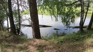 МЕДВЕДИ фыркают,а КАРАСЬ клюёт!!! Рыбалка на ТАЁЖНОЙ речке. 06.08.2026 г.