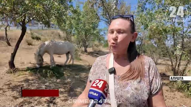 Без еды, воды и под палящим солнцем живёт пони в Профессорском уголке в Алуште