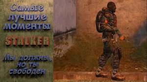 Мы должны, но ты свободен. Stalker. Самые лучшие моменты. #stalker