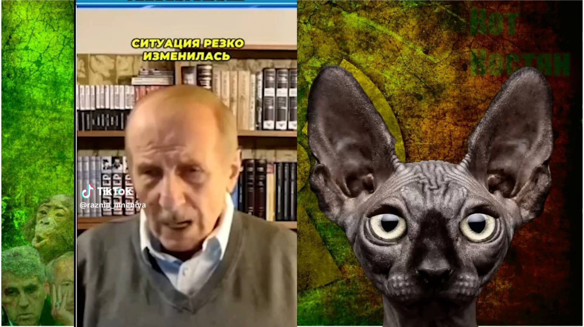 Ситуация резко и категорически изменилась / Кот Костян (You Tube - 25)