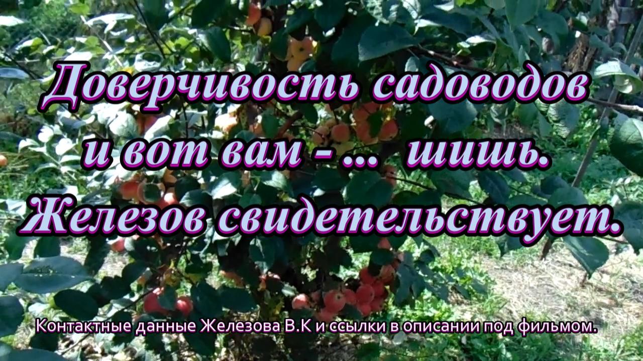 Доверчивость садоводов и вот вам - ...  шишь. Железов свидетельствует.