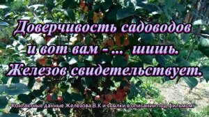 Доверчивость садоводов и вот вам - ...  шишь. Железов свидетельствует.