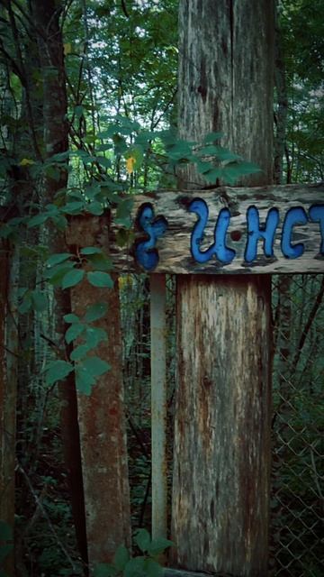 ТОЧКА ПЕРЕСЕЧЕНИЯ : ИНСТИТУТ ОЗЕРОВЕДЕ6ИЯ