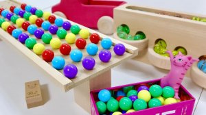 Волнистый склон HABA, извилистые рельсы Tiisanadaikusan и MarblePackRail в контейнере