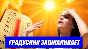 Жара как в Африке: Европа плавится под палящим солнцем. Последние новости