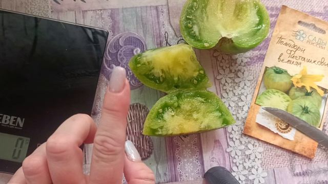 Фисташковый великан 2026