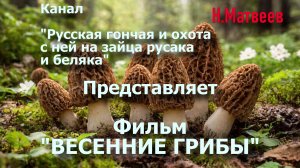 Фильм #14 Весенние Грибы