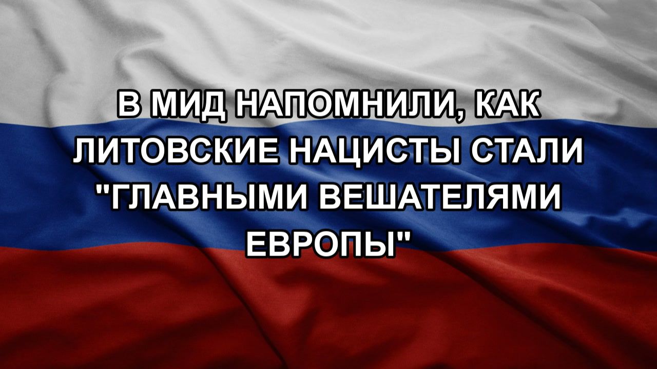 В МИД напомнили как литовские нацисты стали главными вешателями Европы