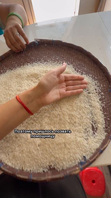 Ох уж этот индийский рис