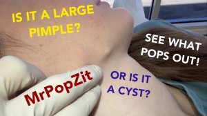 Видите мордочку, которая выскакивает? Потрясающе! Как раз для школьных фото! Поп-ап с щенком!