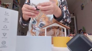 мне купили микрофон