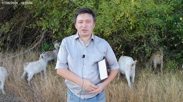 Обновить царство