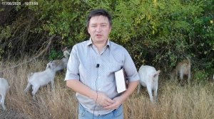 Обновить царство