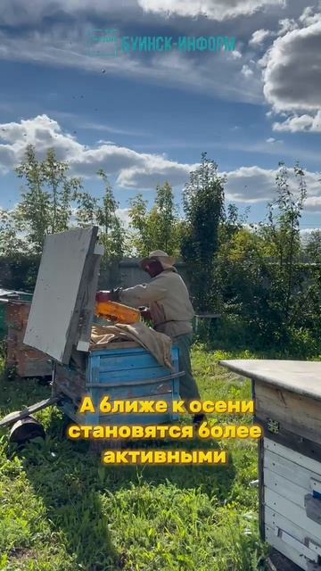 Любовь к своему делу измеряется не килограммами мёда, а годами труда и заботы