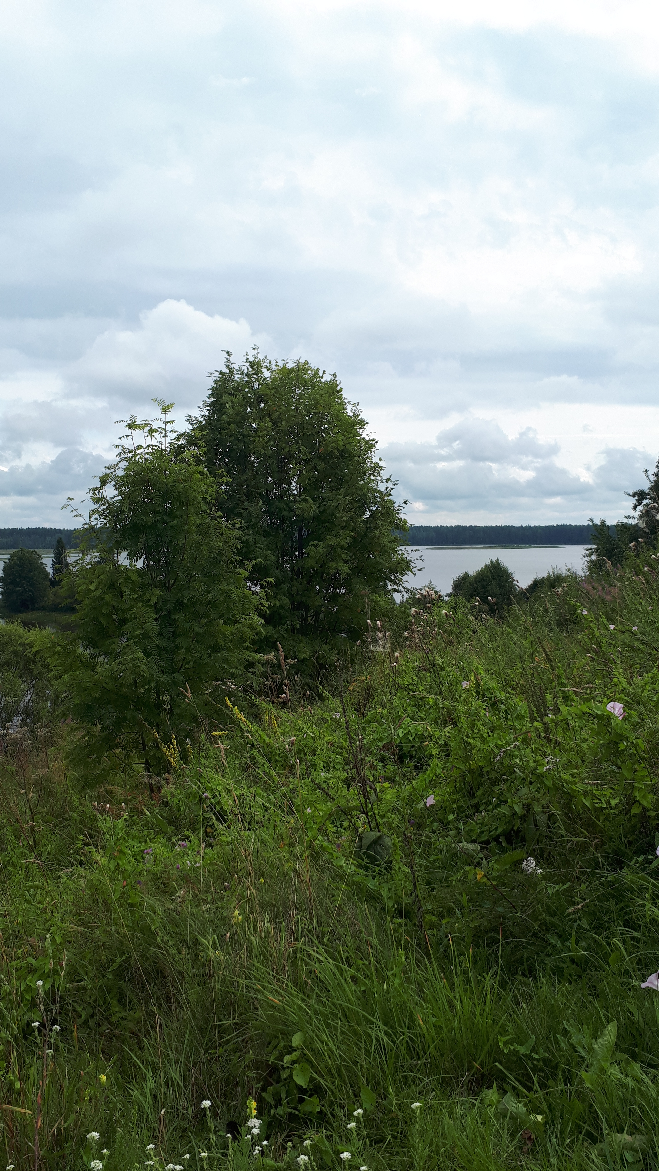 Уезжаем в Тверь