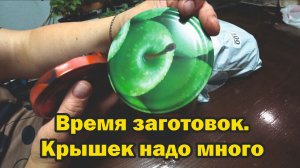 Обзор покупок с маркетплейсов: желатин, пектин, торф, грунт для голубики, кроссовки, костюм, крышки