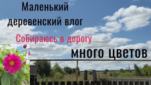 Маленький деревенский влог. Сборы в дорогу, много цветов