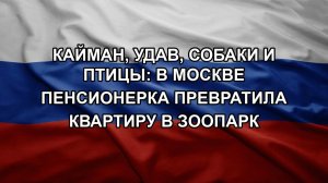 Кайман, удав, собаки и птицы: в Москве пенсионерка превратила квартиру в зоопарк