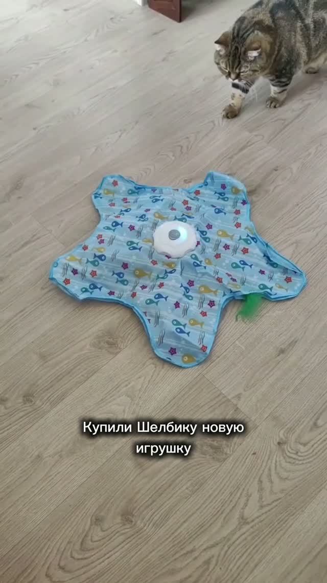 ОХ УЖ ЭТИ СОВРЕМЕННЫЕ ИГРУШКИ!