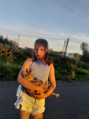 влог с друзьями