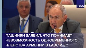 Армения понимает, что одновременное членство в ЕАЭС и ЕС невозможно, заявил Пашинян